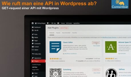 API in Wordpress einbinden