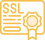 ssl-icon